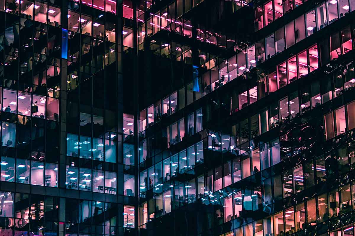 Negócios lucrativos que mais cresceram em 2020